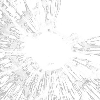 placeholder gif